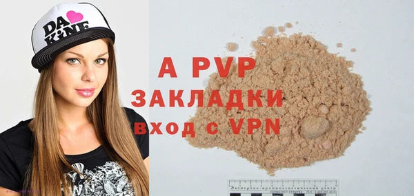 гидра Бородино